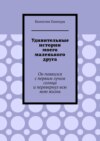 Удивительные истории моего маленького друга. Он появился с первым лучом солнца и перевернул всю мою жизнь