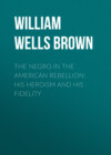 The Negro in the American Rebellion: His Heroism and His Fidelity