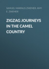 Zigzag Journeys in the Camel Country