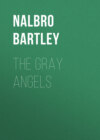 The Gray Angels