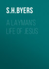 A Layman's Life of Jesus