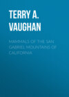 Mammals of the San Gabriel Mountains of California