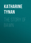 The Story of Bawn