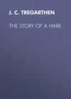 The Story of a Hare