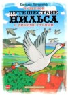 Чудесное путешествие Нильса с дикими гусями