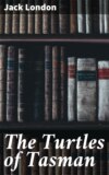 The Turtles of Tasman