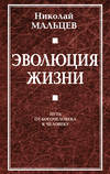 Эволюция жизни. Путь от Богочеловека к человеку