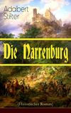 Die Narrenburg (Historischer Roman)