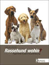 Rassehund wohin?