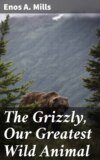 The Grizzly, Our Greatest Wild Animal