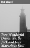 Two Wonderful Detectives; Or, Jack and Gil's Marvelous Skill