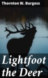 Lightfoot the Deer