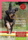 Cavalettitraining für Hunde