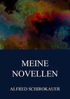 Meine Novellen