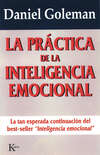 La práctica de la inteligencia emocional