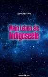 Mein Leben als Indigoseele