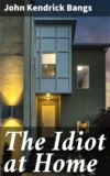 The Idiot at Home