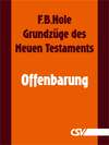 Grundzüge des Neuen Testaments - Offenbarung