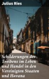 Schilderungen des Treibens im Leben und Handel in den Vereinigten Staaten und Havana