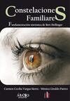 Constelaciones familiares