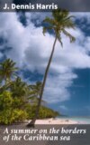 A summer on the borders of the Caribbean sea