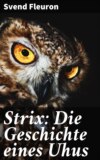 Strix: Die Geschichte eines Uhus