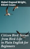 Citizen Bird: Scenes from Bird-Life in Plain English for Beginners