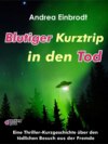 Blutiger Kurztrip in den Tod