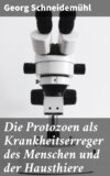 Die Protozoen als Krankheitserreger des Menschen und der Hausthiere