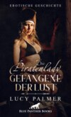 Die Piratenlady - Gefangene der Lust | Erotische Geschichte