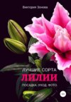 Лилии. Лучшие сорта