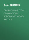 Проводящие пути спинного и головного мозга: Часть 2