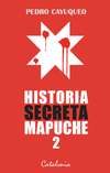 Historia secreta mapuche 2