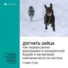 Ключевые идеи книги: Догнать зайца. Как лидеры рынка выигрывают в конкурентной борьбе и как великие компании могут их настичь. Стивен Спир