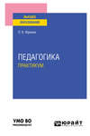 Педагогика. Практикум. Учебное пособие для вузов