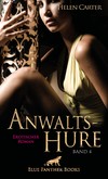 Anwaltshure Band 4 | Erotischer Roman