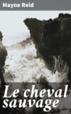 Le cheval sauvage