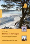 Elchtest in Norwegen