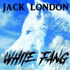 White Fang