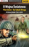 II Wojna Światowa: Pilot Down - Na Tyłach Wroga