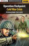 Operation Flashpoint: Cold War Crisis