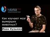 Палеонейробиология: как изучают мозг вымерших животных?