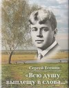 Всю душу выплещу в слова…