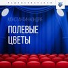 Полевые цветы