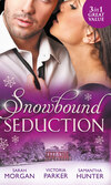 Snowbound Seduction