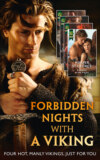 Forbidden Nights With A Viking