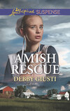 Amish Rescue