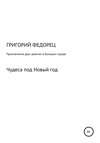 Приключения двух девочек в большом городе. Чудеса под Новый год