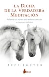 La dicha de la verdadera meditación