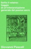 Sotto il velame: Saggio di un'interpretazione generale del poema sacro